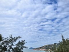 -广东惠东海龟国家级自然保护区