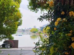 -Beans Solo豆号咖啡(百家湖花园店)