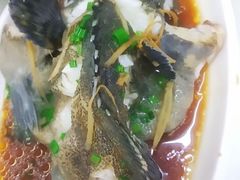 清蒸石斑鱼-忆海南海鲜(椰风巷第一市场店)