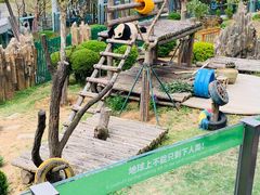 -大连森林动物园