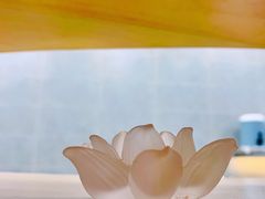 -茶也运也(望京万科店)