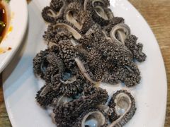 羊肚-宋记爆肚(酒仙桥店)