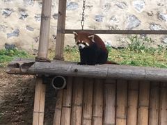 -大连森林动物园