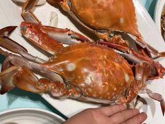 -高佳庄·舟山海鲜(海景旗舰店)