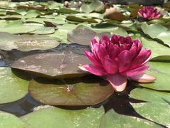 -南京市无想山景区