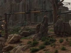 android_upload_pic-石家庄市动物园