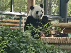 -鄂尔多斯野生动物园