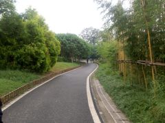 -白鹭湾湿地公园