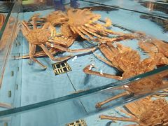 -渔傅·霞浦滩涂海鲜(建平店)