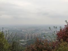 -杭州半山国家森林公园