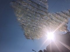 -丰盛里