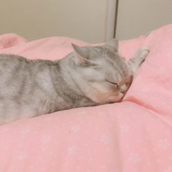-哈妮儿童摄影(德清店)
