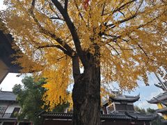 -上海青龙寺
