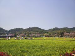 -红山村