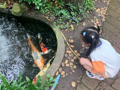 -Fern Forest Cafe