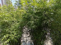 -谢氏老金口(江夏武昌大道店)