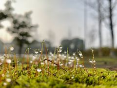 -尚贤河湿地