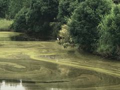 -福建鲤鱼洲酒店