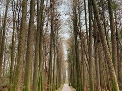 -同里国家湿地公园