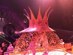 -广州长隆国际大马戏