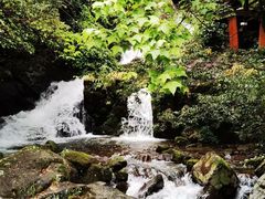 -大围山国家森林公园