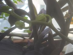 -鑫嘉汇购物中心