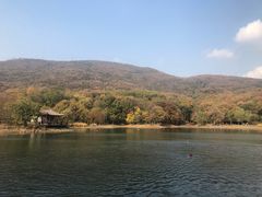-紫霞湖公园