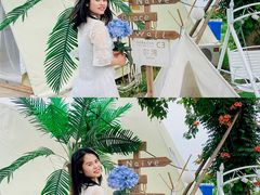 -安德鲁户外烧烤帐篷营地(马泉营店)