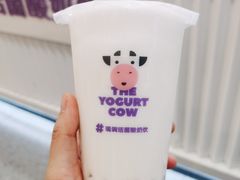 -一只酸奶牛(欧亚大观店)