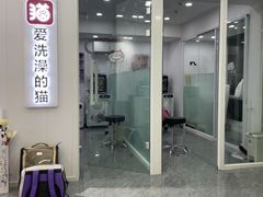 -爱洗澡的猫(望京店)