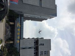 iphone_upload_pic-碧桂园空港凤凰酒店(广州新白云机场店)