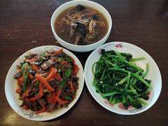 -田螺阿姨自营月嫂·育儿嫂(高新店)