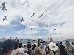 -刘公岛景区