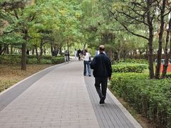 -迎泽公园