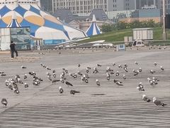 -东港音乐喷泉广场