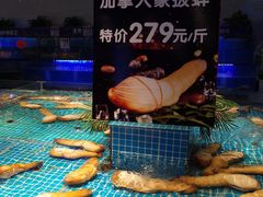 -驻海渔市(置信店)
