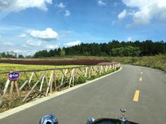 -云漫湖生态度假公园