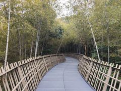 -福道