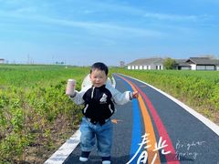 -杭州湾海上花田景区