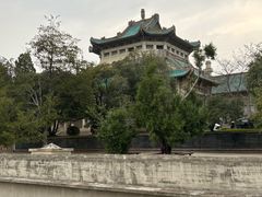 -武汉大学-樱园