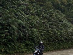 -广州市帽峰山景区