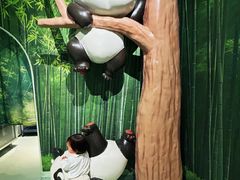 -眉州东坡·熊猫主题餐厅(枫蓝店)