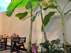 -单家老院·院子里的青岛菜(沙子口店)