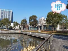 -南翔镇银翔湖公园