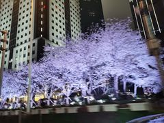 -富都滨江地下停车场