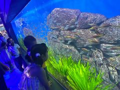 -石家庄极地海洋世界