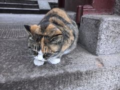 -青岛崂山太清宫