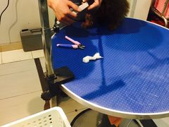 -PETKIT 小佩宠物·低压洗护·美容·寄养(安远店)