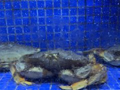 -香山湖渔家大院