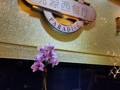 -华厦大酒店·桃源西餐厅·自助餐